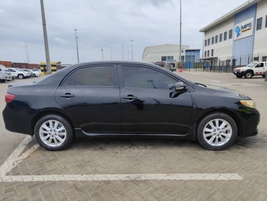 Toyota Corolla sports